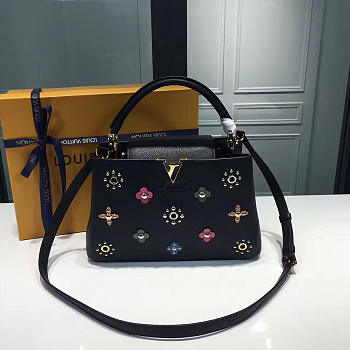 Louis Vuitton Capucines 3663