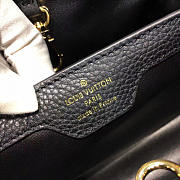 Louis Vuitton Capucines 3663 - 3