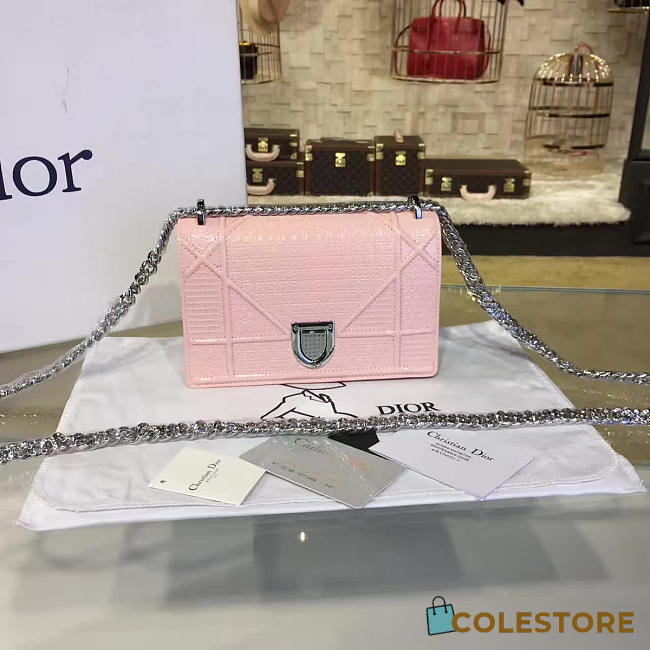 CohotBag dior ama 1761 - 1
