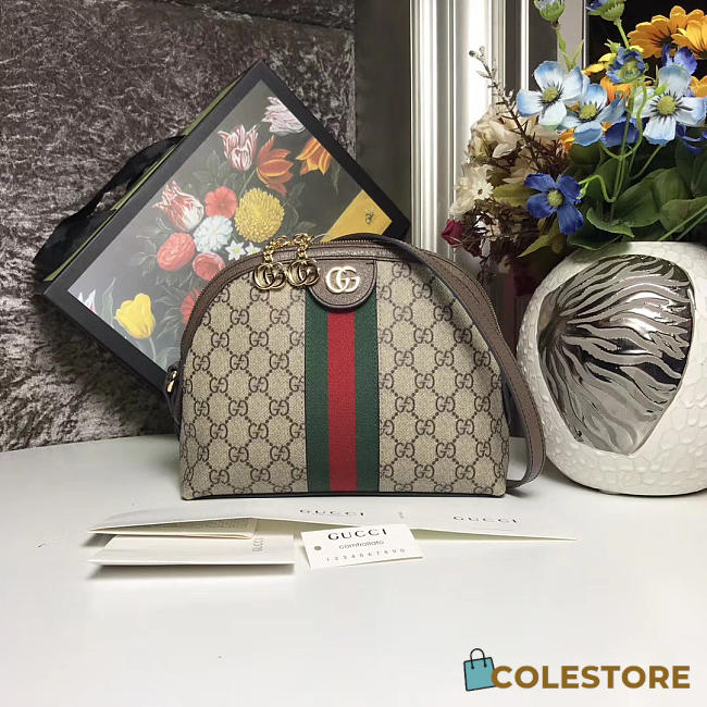 Gucci Ophidia GG Small Shoulder Bag 2628 - 1