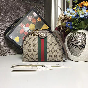Gucci Ophidia GG Small Shoulder Bag 2628