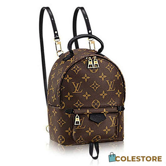 Louis Vuitton Palm Springs Backpack Mini Monogram Canvas M41562 - 1
