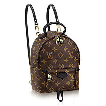 Louis Vuitton Palm Springs Backpack Mini Monogram Canvas M41562