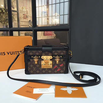  louis vuitton petite CohotBag  malle box bag monogram 3496
