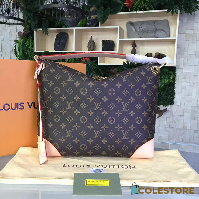 CohotBag louis vuitton berri pm  - 1