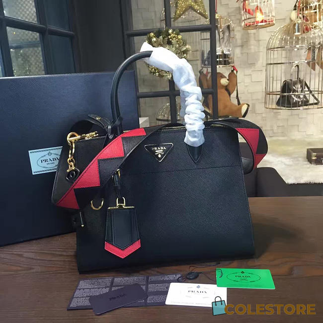 Prada Paradigme 3868 - 1