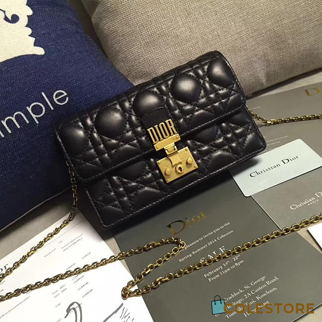 CohotBag dior woc 1677 - 1