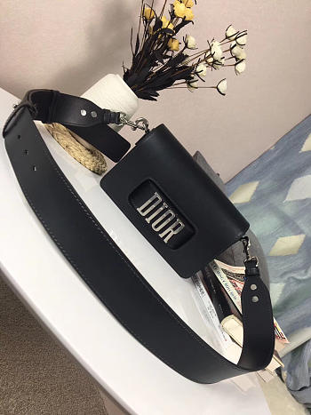 CohotBag dior evolution bag 1814