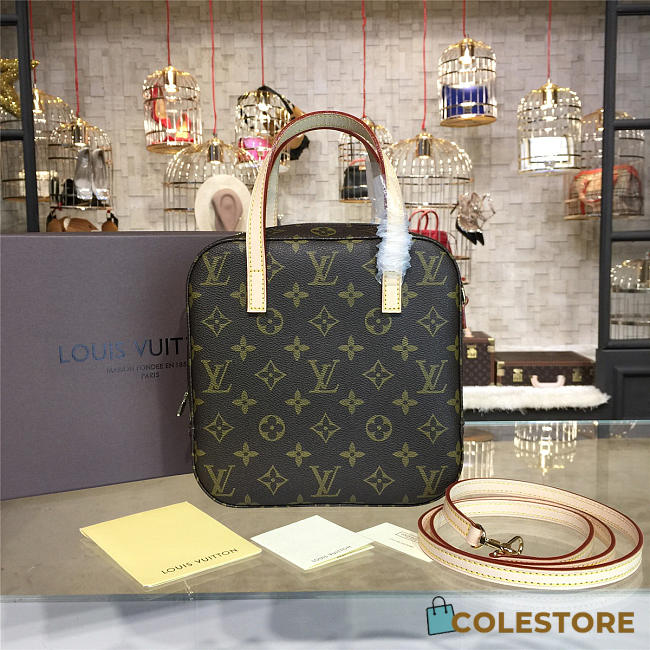 Louis Vuitton Monogram Canvas Nano - 1