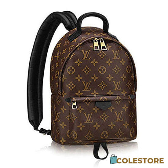 Louis Vuitton Palm Springs Backpack PM M41560 - 1