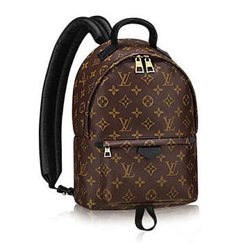 Louis Vuitton Palm Springs Backpack PM M41560