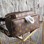 Louis Vuitton Palm Springs Backpack PM M41560 - 5
