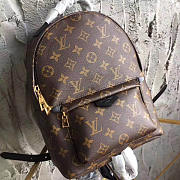 Louis Vuitton Palm Springs Backpack PM M41560 - 3