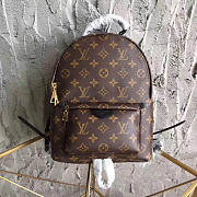 Louis Vuitton Palm Springs Backpack PM M41560 - 2