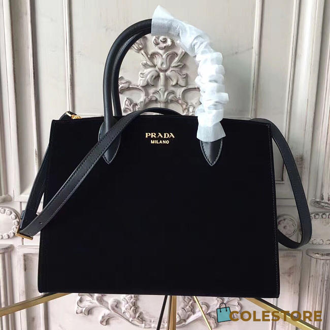 Prada Cortex Bibliothèque Z4281 - 1