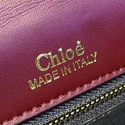 Chloe Leather Nile Z1348  - 4