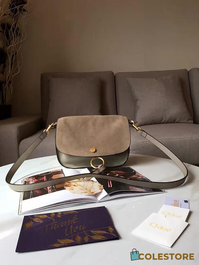Chloe Cortex Kurtis Bag 1376  - 1