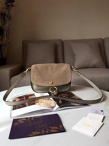 Chloe Cortex Kurtis Bag 1376 