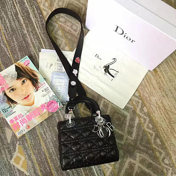 CohotBag lady dior 1617