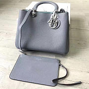 CohotBag diorissimo 1658 - 1