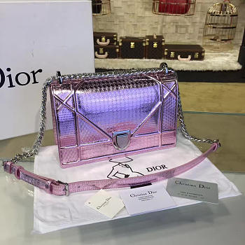 CohotBag dior ama
