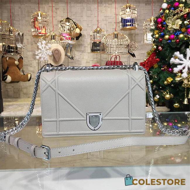 CohotBag dior ama 1728 - 1
