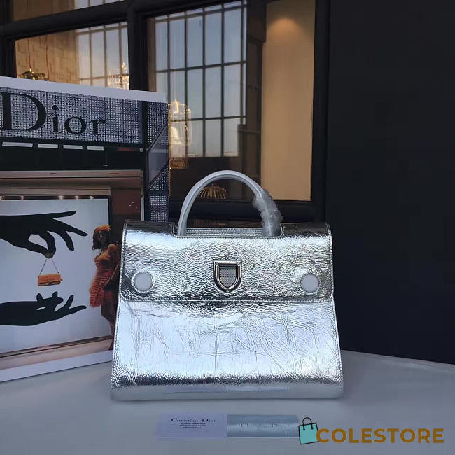 CohotBag dior ever 1731 - 1