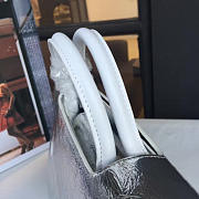CohotBag dior ever 1731 - 6