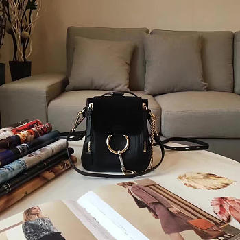 Chloe Cortex Kurtis Bag Z1324 