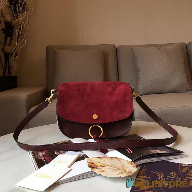 Chloe Cortex Kurtis Bag Z1371 - 1
