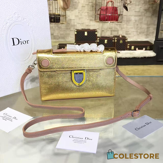 CohotBag dior ever 1537 - 1