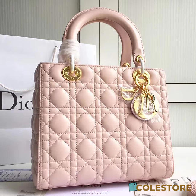 CohotBag lady dior 1570 - 1