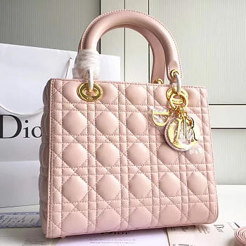 CohotBag lady dior 1570