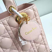 CohotBag lady dior 1570 - 3