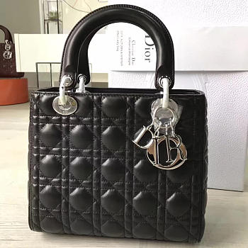 CohotBag lady dior 1597