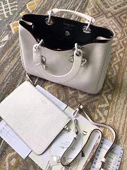 CohotBag diorissimo 1657 - 4