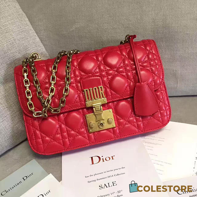CohotBag dioraddict 1674 - 1