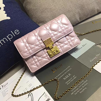 CohotBag dior woc 1684