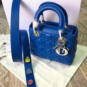 CohotBag dior lady 1704