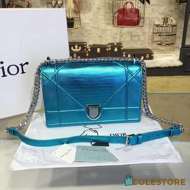 CohotBag dior ama 1767 - 1