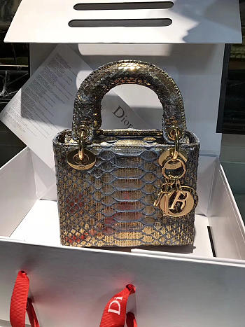 CohotBag lady dior 1798