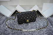 Chanel Lambskin Leather Flap Bag With Gold/Silver Hardware Black 20cm - 6