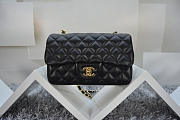 Chanel Lambskin Leather Flap Bag With Gold/Silver Hardware Black 20cm - 2
