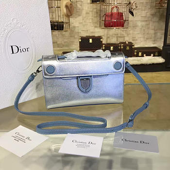 CohotBag dior ever 1544