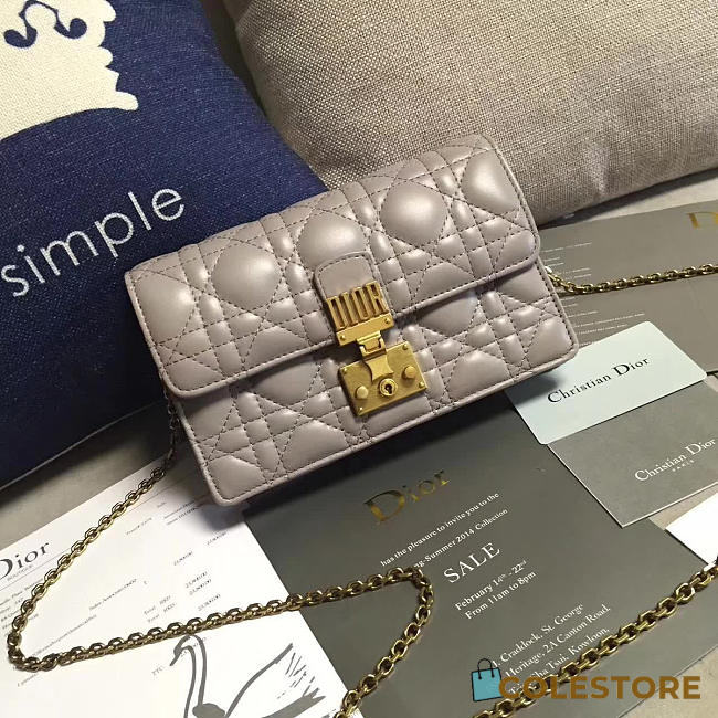 CohotBag dior woc 1678 - 1