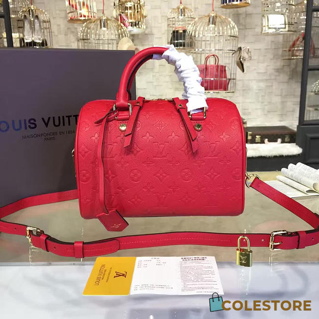 Louis Vuitton Speedy Bandoulière 25 3207 - 1