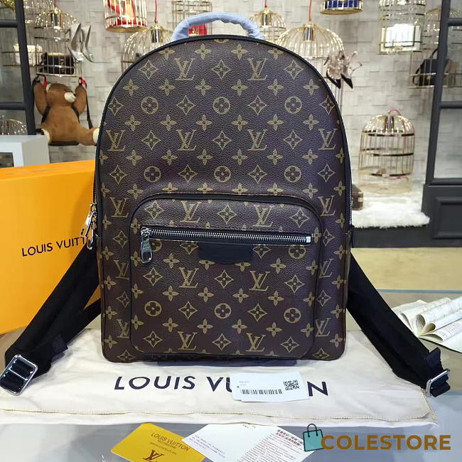 Louis Vuitton Josh Backpack M41530 - 1