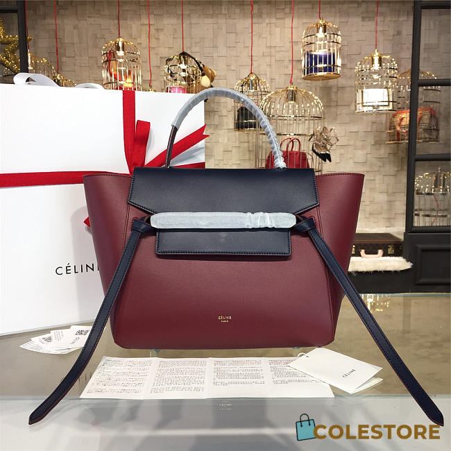 Celine Leather Belt Bag Z1207 - 1