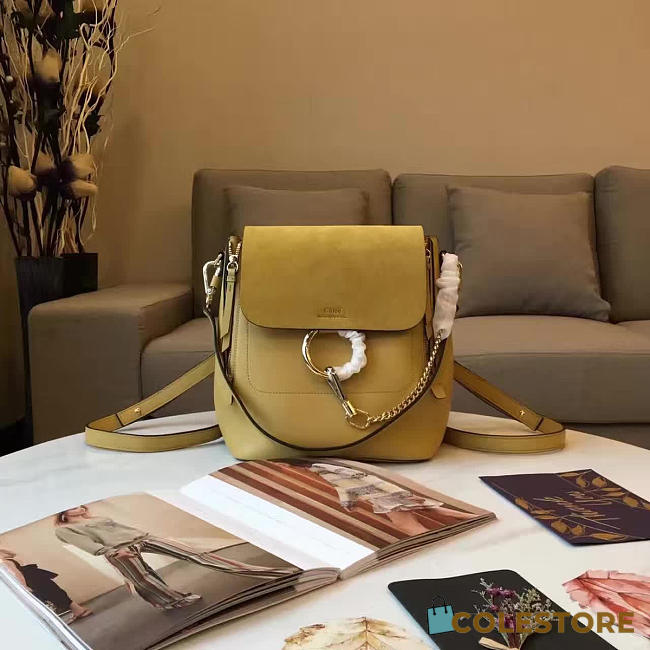 Chloé Cortex Faye Backpack Z1399  - 1