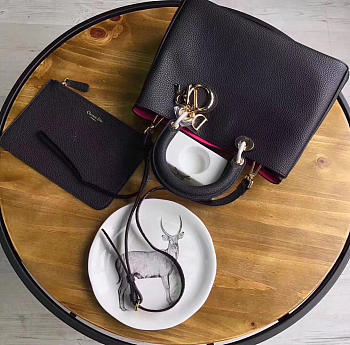 CohotBag dior issimo